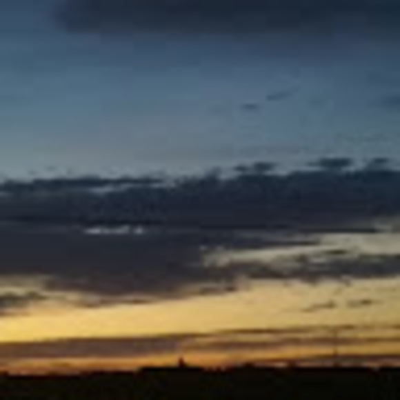 Meet your Posher, Chyna - Picture 1 of 1